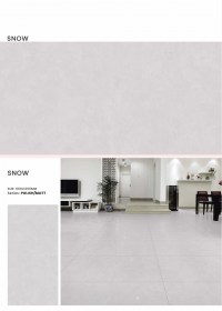 60x120 Snow