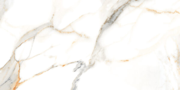60X120 CARRARA VENICE